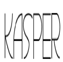 Kasper clothing Anjum