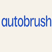 AutoNation Mobile Service