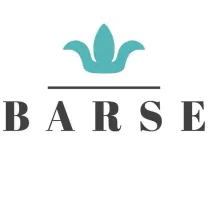 Barse Jewelry