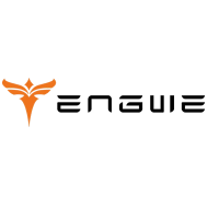 Engwe