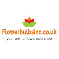 Flower Bulbs Inc UK