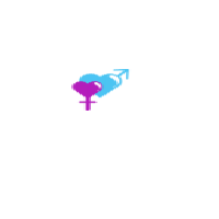 Trans Boutique FR