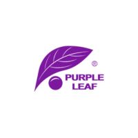 Purple Leaf CA