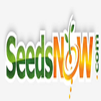 SeedsNow
