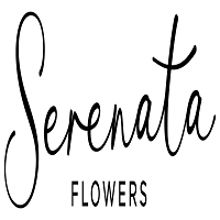 Serenata Flowers UK