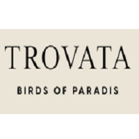 Trovata