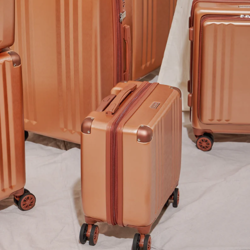 Ambeur Mini Carry-On Luggage